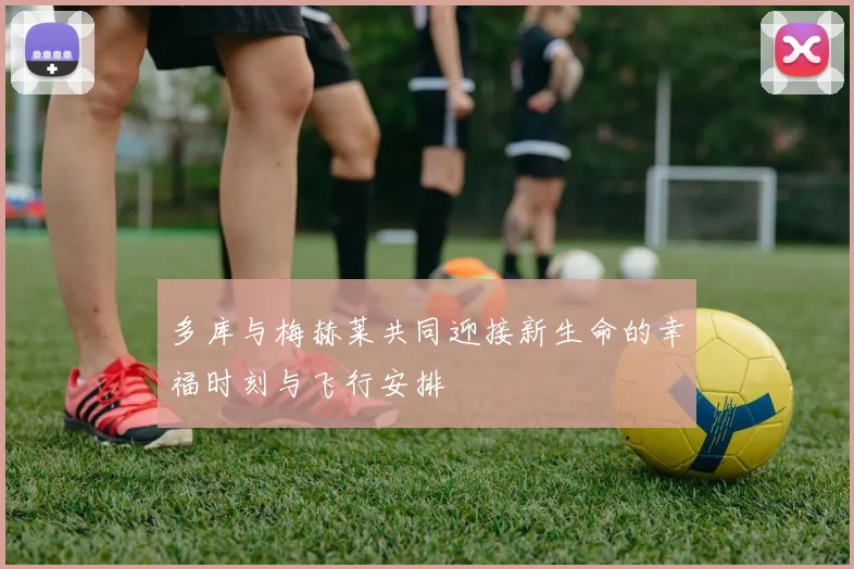 多库与梅赫莱共同迎接新生命的幸福时刻与飞行安排