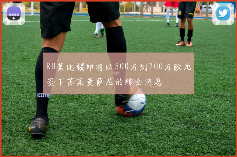RB莱比锡即将以500万到700万欧元签下苏莱曼萨尼的转会消息